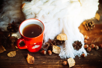 Mug of hot coffee in a woman's hand in a sweater in the autumn setting on a wooden table with a knitted scarf, sweater. Comfort, warmth, cozy