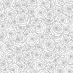 Hand drawn vector white roses seamless pattern. Floral ornament for adult and kids coloring books.