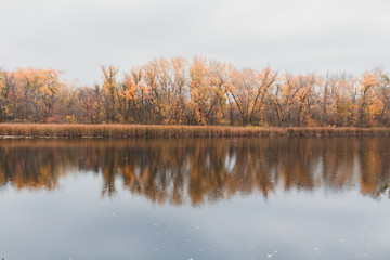 Panoramic landscape with forest lake in autumn