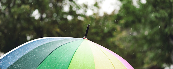 The panorama of umbrella in rainbow colors in rainy autumn day, blur focus