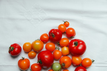 Fresh organic tomatoes of different colors on white textile background. Harvest concept. Horizontal composition. Overhead view, natural lighting, copy space.