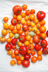 Fresh organic tomatoes of different colors on white textile background. Harvest concept. Overhead view, natural lighting, copy space.