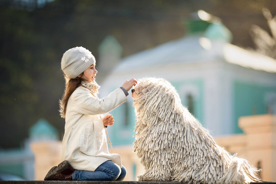 Cute little girl with her dog puli sitting on the ground. Walk around the city.