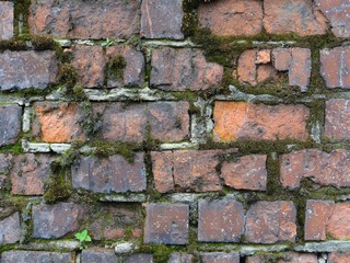 Texture of brick wall.