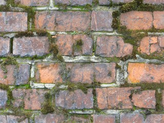 Texture of brick wall.
