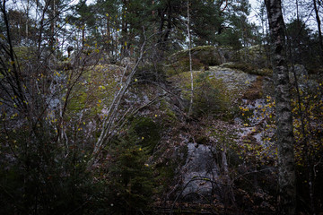 Big stones in Scandinavian forest