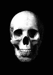 Old monochrome engraving skull illustration on dark BG - obrazy, fototapety, plakaty