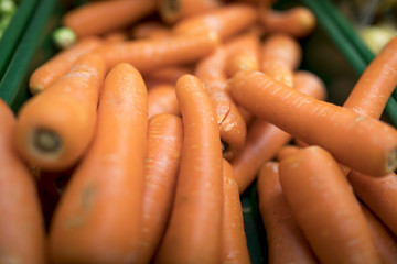 Close up of delicious and colourful vibrant orange carrots on a market stall in England, United Kingdom