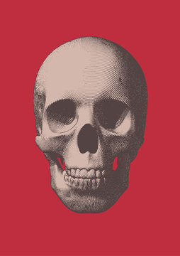 Naklejki Old engraving skull illustration on red BG