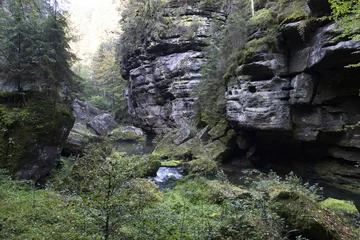 Selbstklebende Fototapeten Wild autumn Landscape around the Creek Kamenice in the Czech Switzerland with Sandstone Boulders, Czech Republic © Kajano
