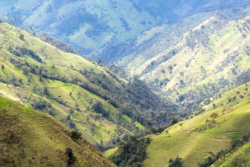 Landscape Near Salento, Colombia