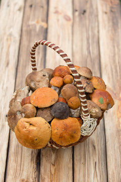 Orange hat boletus mushrooms in a basket 