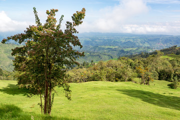 Rural Colombian Landscape