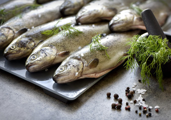 Rainbow trouts on a stone board with herbs