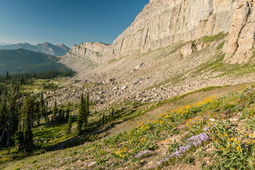 The Chinese Wall and wildflowers.