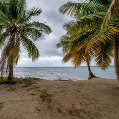 Tropical Beaches 