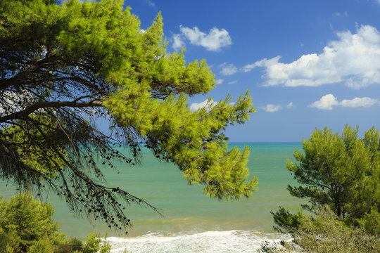 View of the sea with trees and a blue sky in Gargano in the south of Italy
