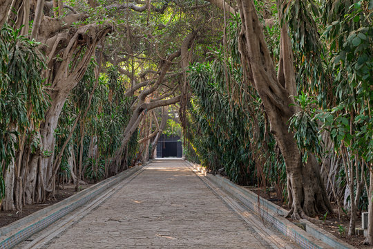 Passage through trees leading to closed door at the public park of The Manial Palace of Prince Mohammed Ali Tewfik, Cairo, Egypt
