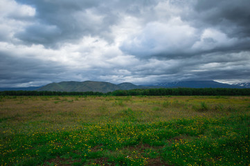 Fototapeta na wymiar Kamchatka. Green fields and volcanoes. Wild nature