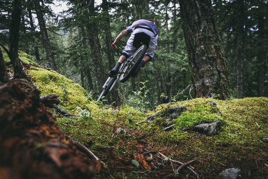 Mountain bike rider jumping on forest setting with bicycle from behind