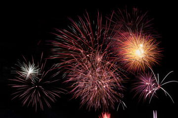 Fireworks light up the sky in celebration