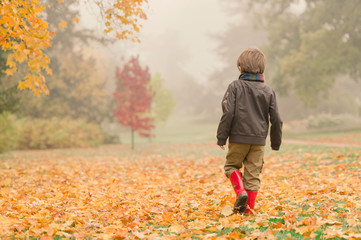 Boy walking through Fall scene