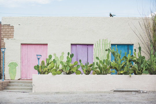 House with pastel colored doors and cactus