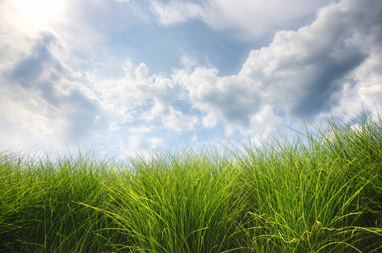 Scenic view of grassy field against cloudy sky