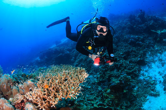 SCUBA diver with a camera on a tropical coral reef