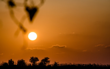 Fototapeta premium Romantic Sunset, Carmel Park, Israel