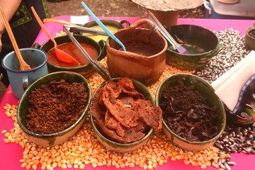 Jerky beef and spicy sauces for making Tlayuda in Mexico