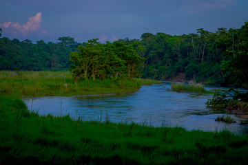 Beautiful view of Chitwan National Park with a river, mainly covered by jungle