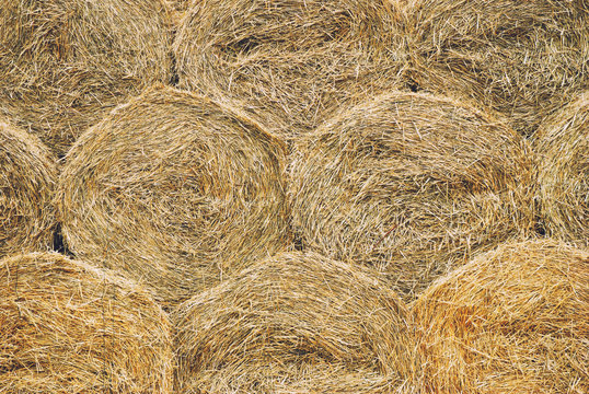 Hay bales