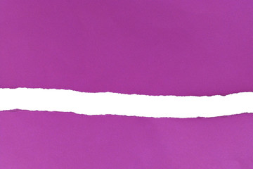 pieces of torn paper. copy space