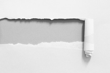 White ripped hole paper on gray paper background. copy space