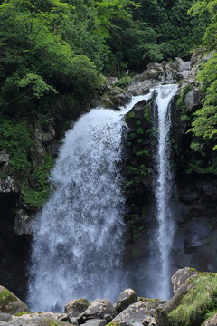夏の二ノ滝　山形県遊佐町　Ninotaki, Yuza, Yamagata, Japan