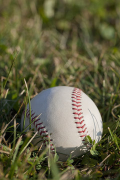 Close-up of baseball in grass