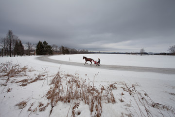 horse and sulky rider on icy path on stormy winter day
