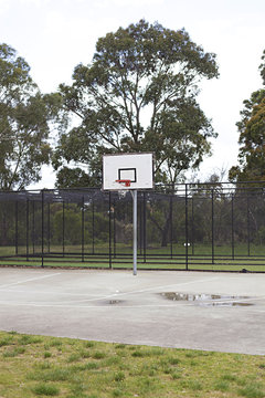 outdoor basketball court at the local park with gumtrees in the background
