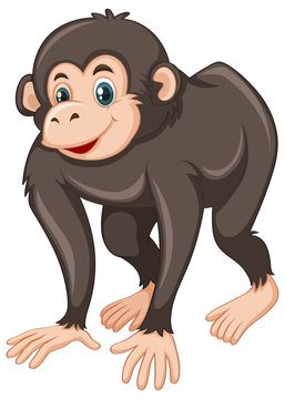 Chimpanzee with happy face