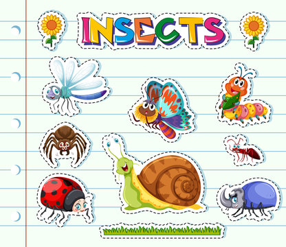 Sticker design with different types of insects