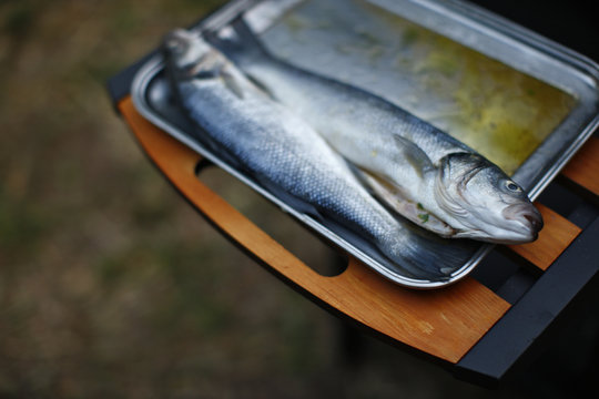 Sea bass ready for grill