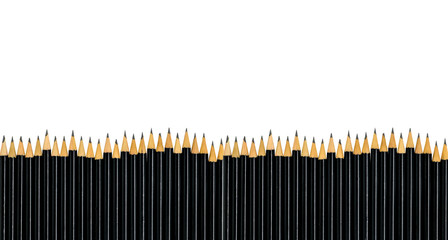 Row of black pencils isolated on white background