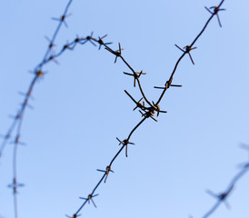 barbed wire on blue sky background
