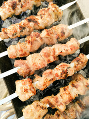 Shish kebab on metal sticks roasted on the grill