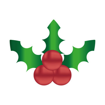 mistletoe icon image