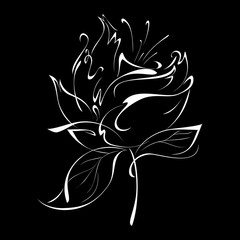ornament 55-1. stylized flower in white lines on a black background