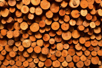 Wood texture background for interior, construction concept design.