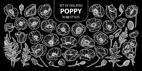 Set of isolated poppy in 42 styles. Cute hand drawn flower vector illustration only white outline.