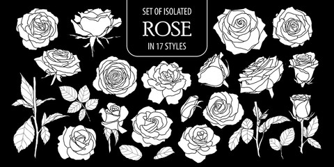 Set of isolated white silhouette rose in 17 styles .Cute hand drawn flower vector illustration in white plane and no outline. - obrazy, fototapety, plakaty